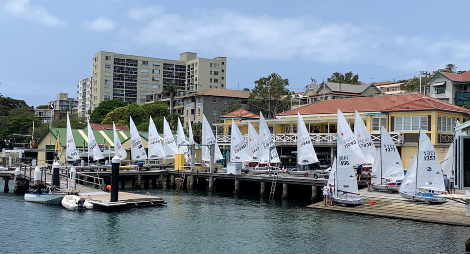 manly yacht club lasers